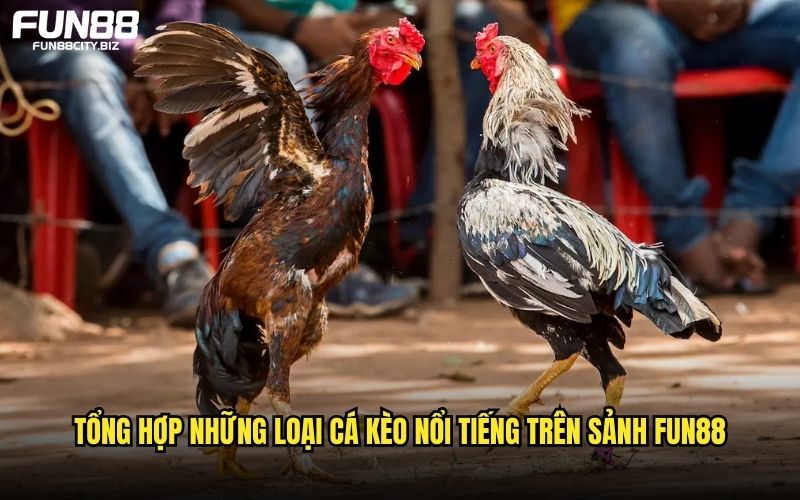 Những loại kèo được khách hàng săn đón nhất
