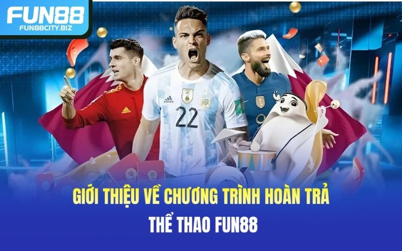 Tổng quan về ưu đãi hoàn trả mỗi ngày 0,8% thể thao